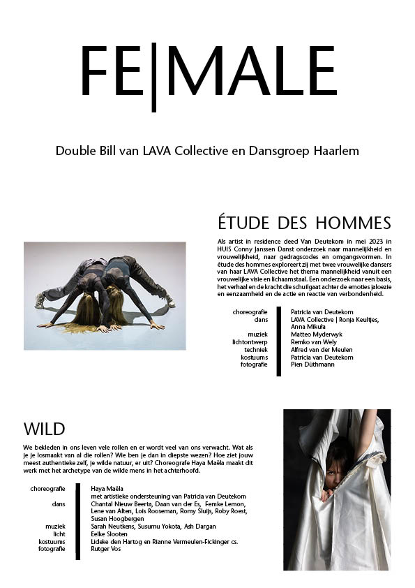 Dansgroep Haarlem